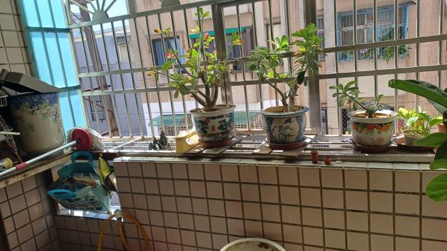 桃園中壢大樓-7