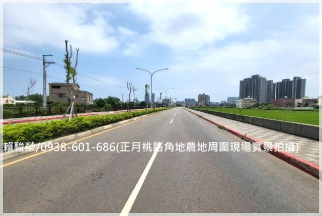 中壢正月桃路角地農地