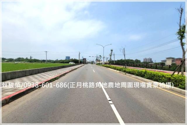 中壢正月桃路角地農地