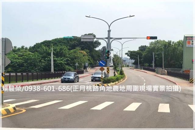 中壢正月桃路角地農地