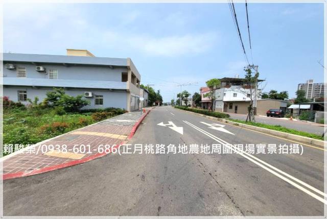 中壢正月桃路角地農地
