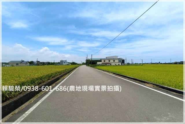 桃園新屋十五間段農地