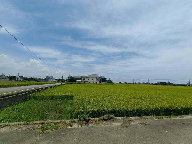 桃園新屋十五間段農地