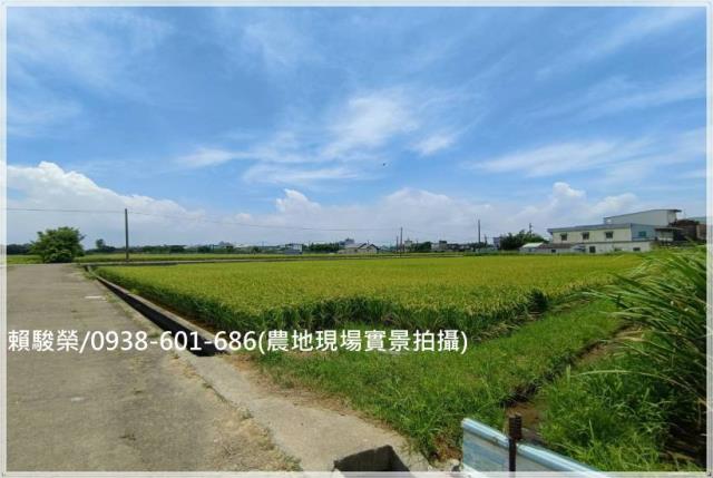 桃園新屋十五間段農地