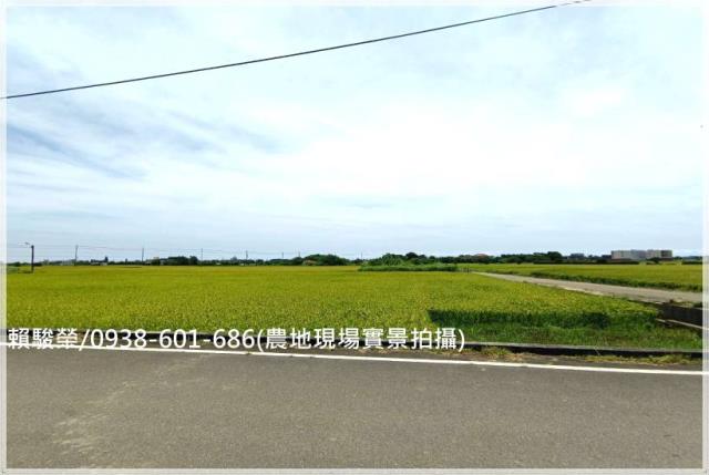 桃園新屋十五間段農地