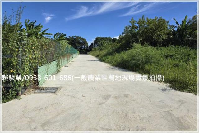 龍潭大順路一般農售
