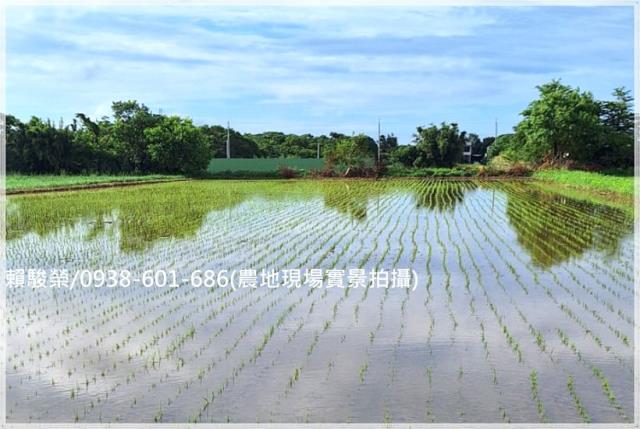 楊梅楊湖路三段農地