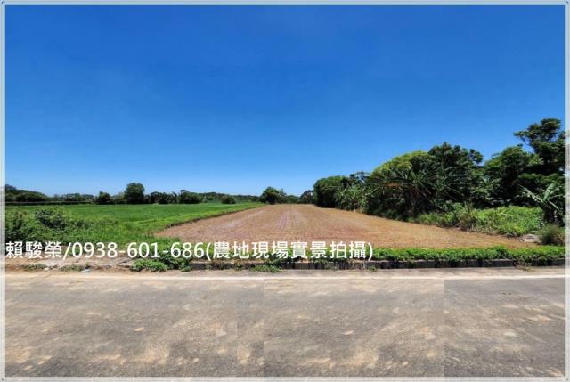 楊梅楊湖路三段農地