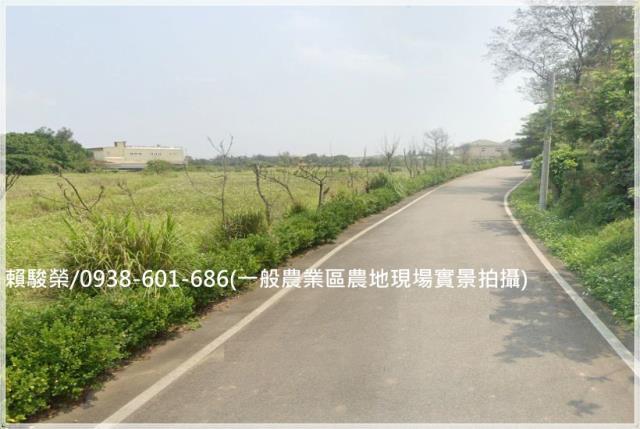 新屋一般農業區農地