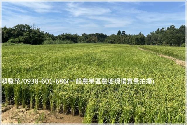 新屋一般農業區農地