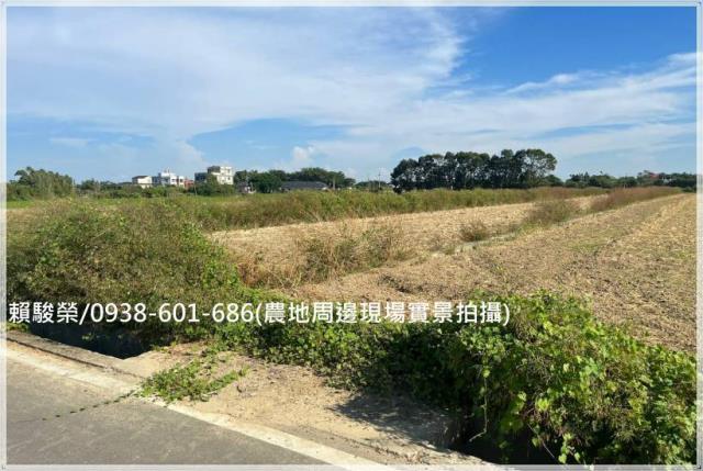 桃園新屋埔頂國小農地