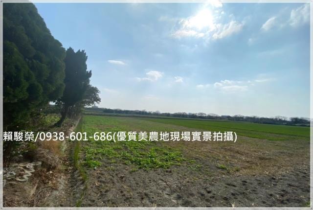 新竹竹北鳳岡優質農地