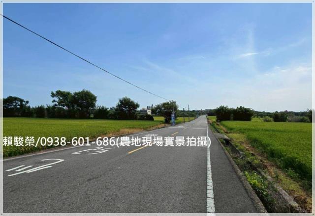 觀音育仁國小美農地