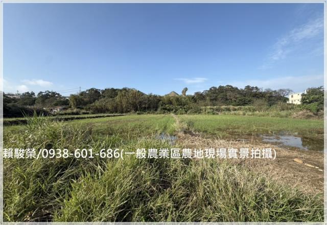 蘆竹大竹交流道一般農