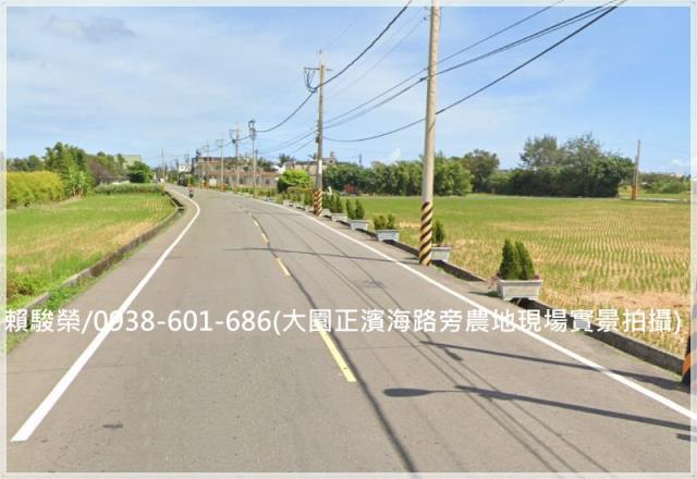 大園圳股頭一般農出售